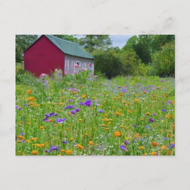 Wildblumen im Land Feiertagspostkarte (Vorderseite)