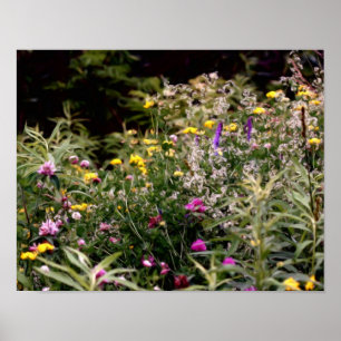 Wildblumen in Foto-Ölgemälden Poster