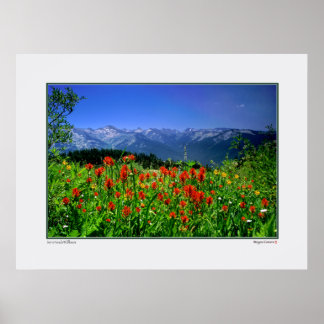 Wildblumen in Sierra Nevada Poster