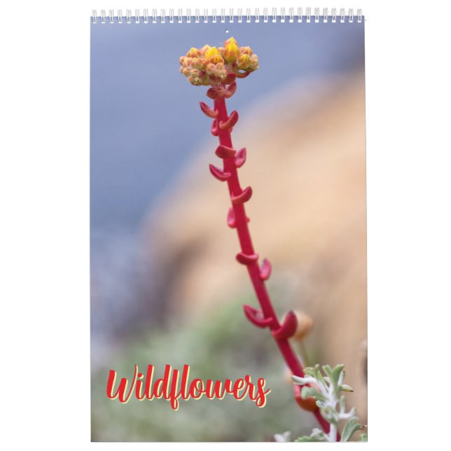 Wildblumen Kalender (Titelbild)