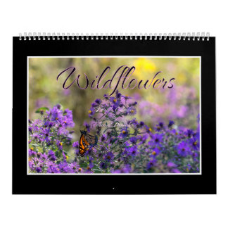 Wildblumen-Kalender von Thomas Minutolo Kalender