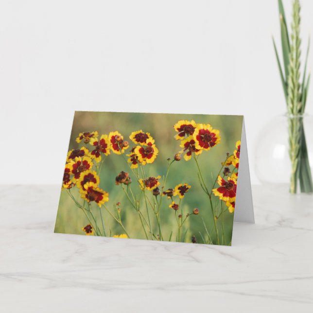 Wildblumen Karte (Vorderseite)