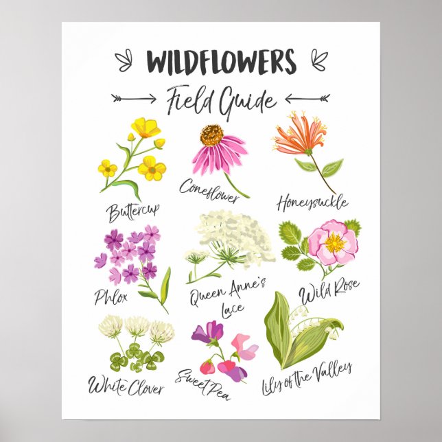 Wildblumen Kunst Wilde Blume Plakatwand Kinderzimm Poster (Vorne)