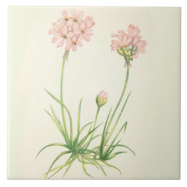 Wildblumen-Land-Küchen-Keramik-Fliesen-Seerosa Fliese (Vorderseite)