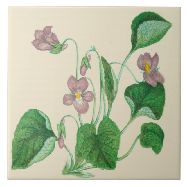 Wildblumen-Land-Küchen-Keramik-Fliesen-Veilchen Fliese (Vorderseite)