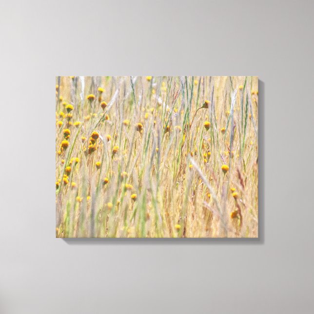 Wildblumen Leinwanddruck (Vorderseite)
