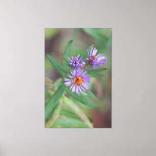 Wildblumen Lila Leinwanddruck
