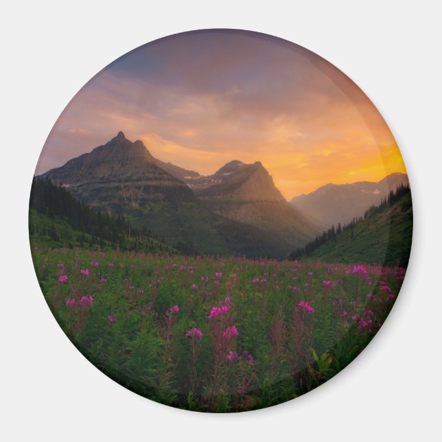 Wildblumen Magnet (Vorne)