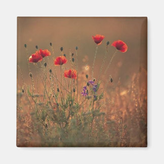 Wildblumen Magnet