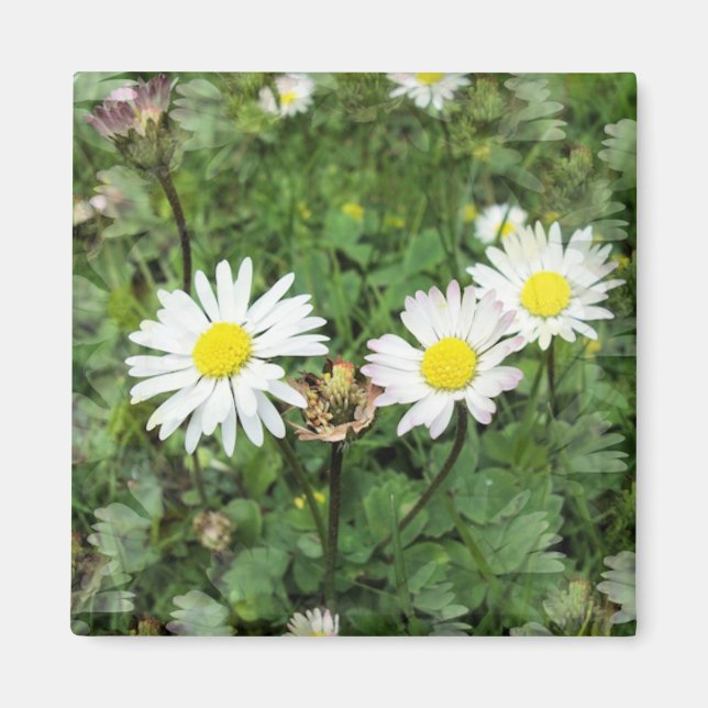 WILDBLUMEN MAGNET (Vorne)