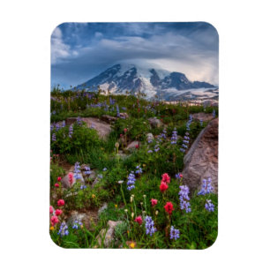 Wildblumen Magnet