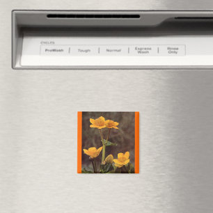 Wildblumen: Marsh Marigold Magnet