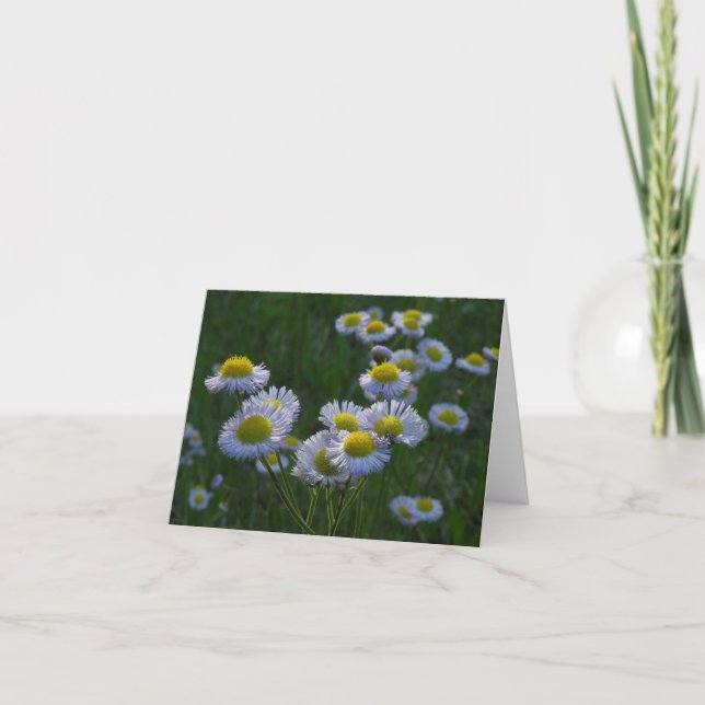 Wildblumen-Merkkarte Karte (Vorderseite)