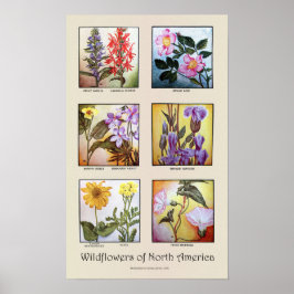 Wildblumen Nordamerikas [A] Poster