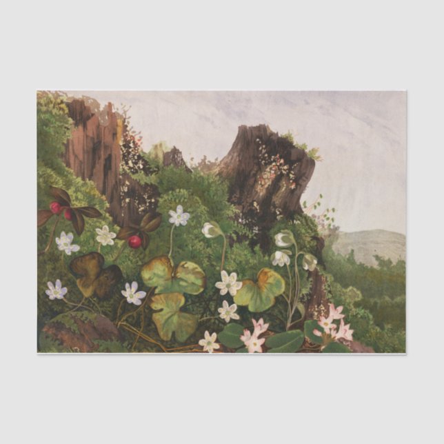 Wildblumen Nr. 2 von Ellen Robbins Seidenpapier (Vorderseite)