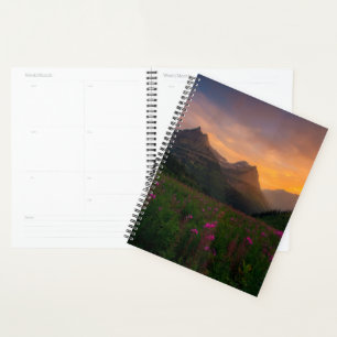 Wildblumen Planer