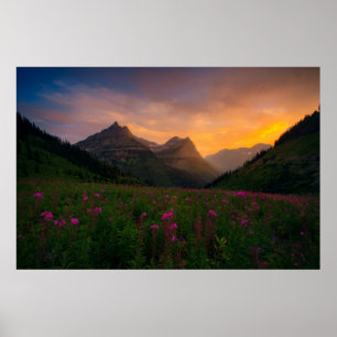 Wildblumen Poster