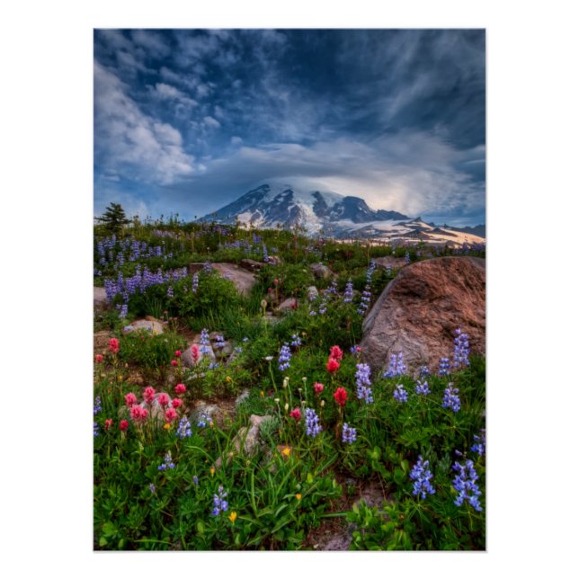 Wildblumen Poster (Vorderseite)