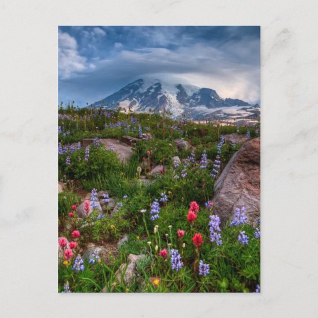Wildblumen Postkarte (Vorderseite)