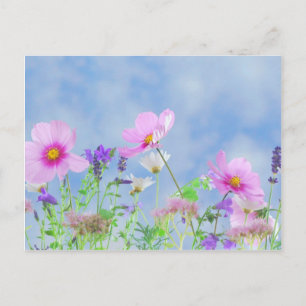 Wildblumen Postkarte