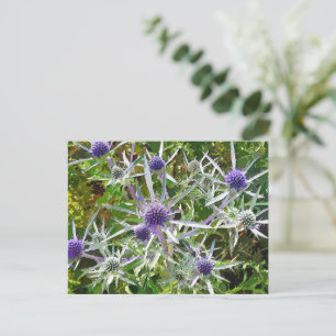 WILDBLUMEN POSTKARTE