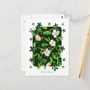 WILDBLUMEN POSTKARTE