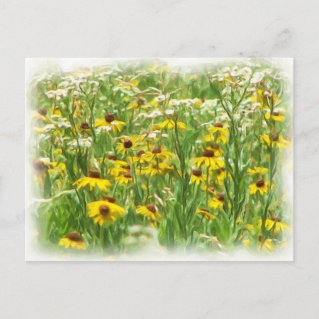 Wildblumen Postkarte (Vorderseite)