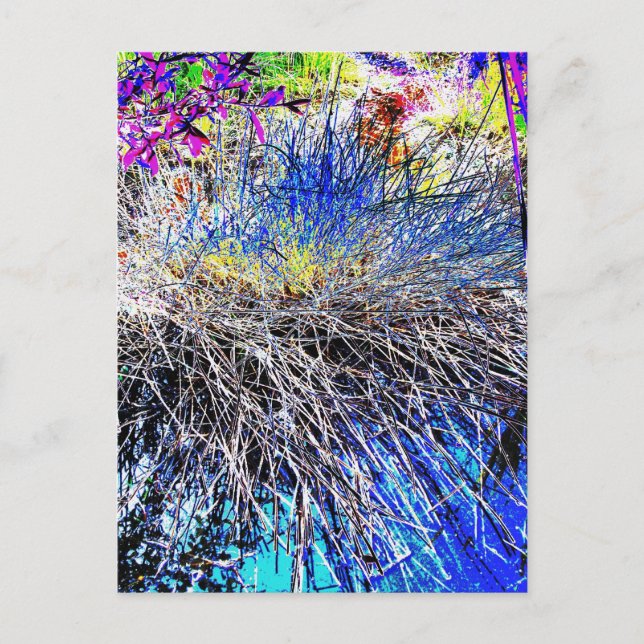 WILDBLUMEN POSTKARTE (Vorderseite)