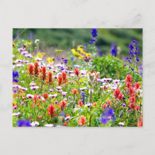 Wildblumen Postkarte