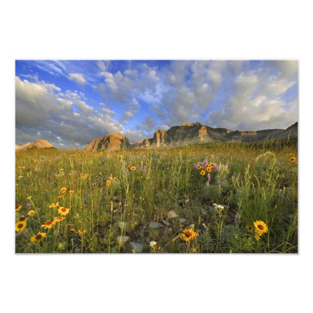 Wildblumen Prairie am Windy Creek Fotodruck (Vorne)