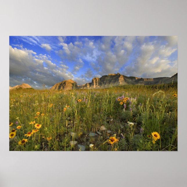 Wildblumen Prairie am Windy Creek Poster (Vorne)