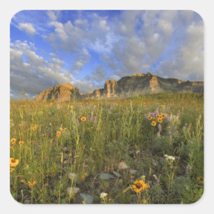 Wildblumen Prairie am Windy Creek Quadratischer Aufkleber