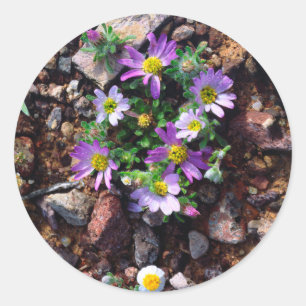 Wildblumen Runder Aufkleber