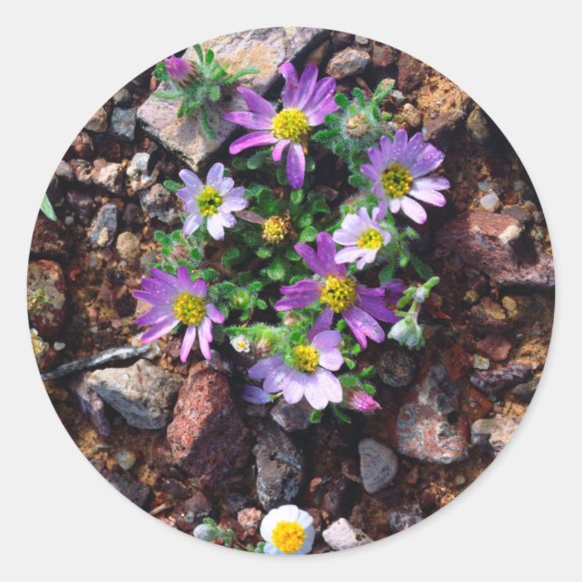 Wildblumen Runder Aufkleber (Vorderseite)