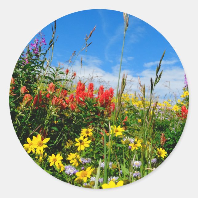 Wildblumen Runder Aufkleber (Vorderseite)