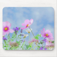 Wildblumen, Schönheit der Natur