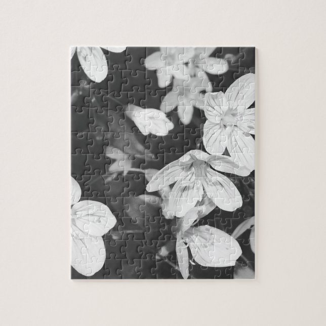 Wildblumen Schwarz/Weiß (Vertikal)