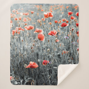 Wildblumen Sherpadecke