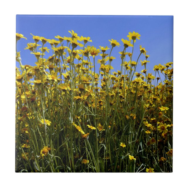 Wildblumen Sonnenblumen Fliese (Vorderseite)