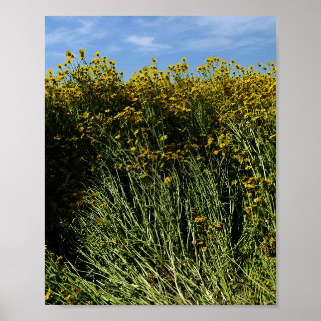 Wildblumen Sonnenblumen Poster (Vorne)