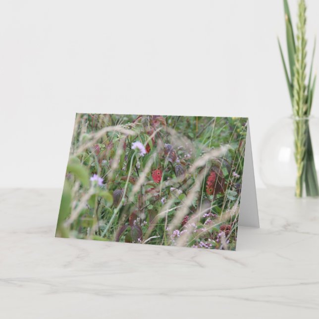 Wildblumen, Surrey-Hügel-Gruß-Karte Karte (Vorderseite)