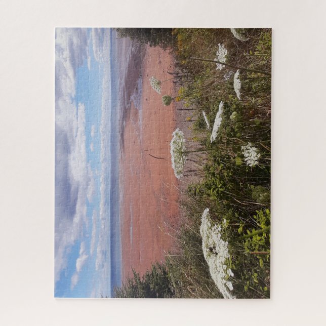 Wildblumen über der Gezeitenküste (Vertikal)