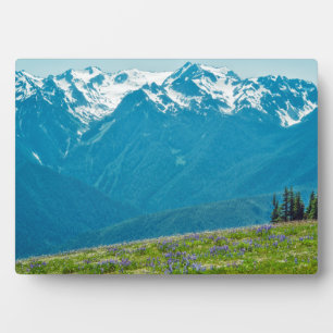 Wildblumen und Berge Fotoplatte