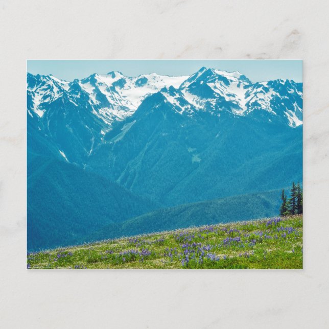 Wildblumen und Berge Postkarte (Vorderseite)