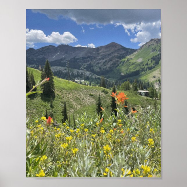 Wildblumen und Berge von Utah Poster (Vorne)