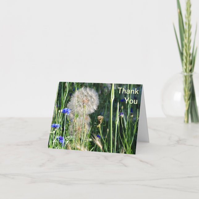 Wildblumen und Puffball, danke (Vorderseite)