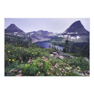Wildblumen und Versteckter See, Shrubby Fotodruck