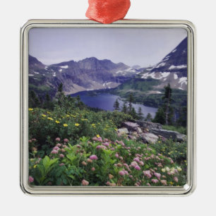 Wildblumen und Versteckter See, Shrubby Silbernes Ornament