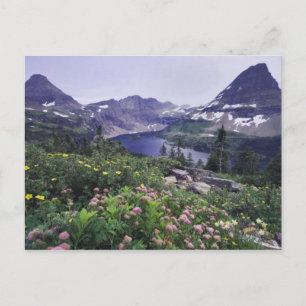 Wildblumen und versteckter See, Strauchartig Postkarte