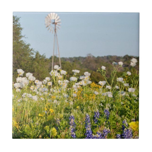 Wildblumen und Windmühle im Land der Texas-Hügel Fliese (Vorderseite)